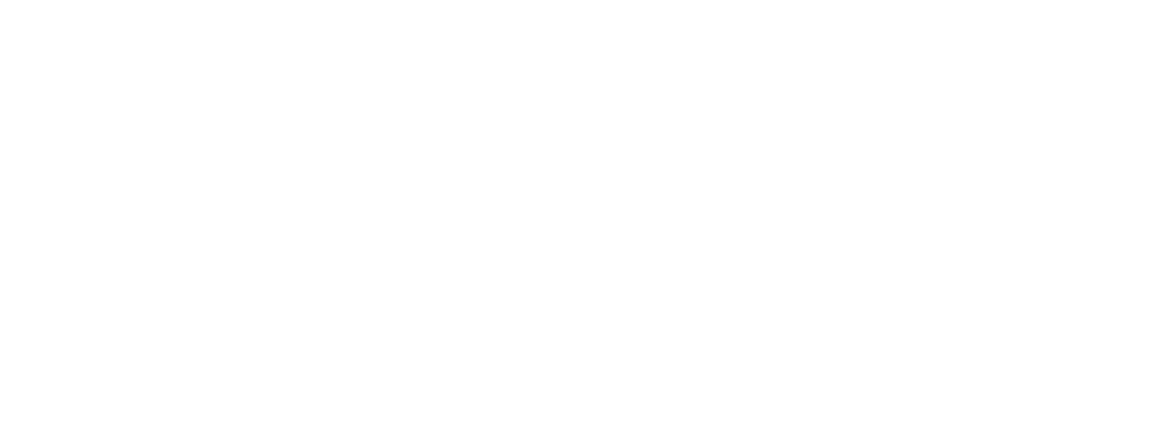 NEZO Logo